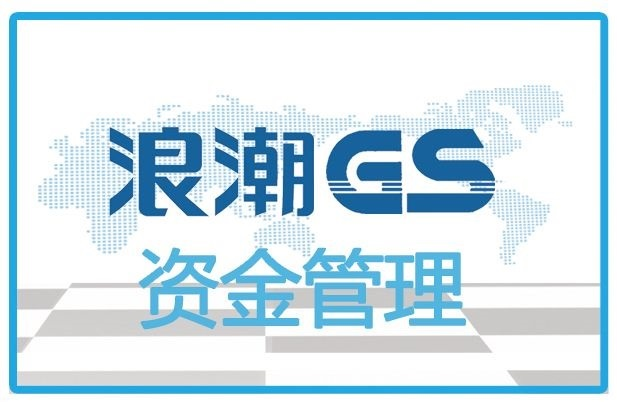 浪潮GS资金管理-企业司库与资金管理系统