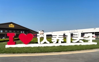 认养一头牛